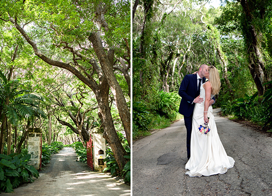 St Nicholas Abbey entrance, lined with majestic mahogany trees